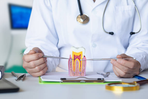 Best Emergency Root Canal Therapy in Bryant, AR